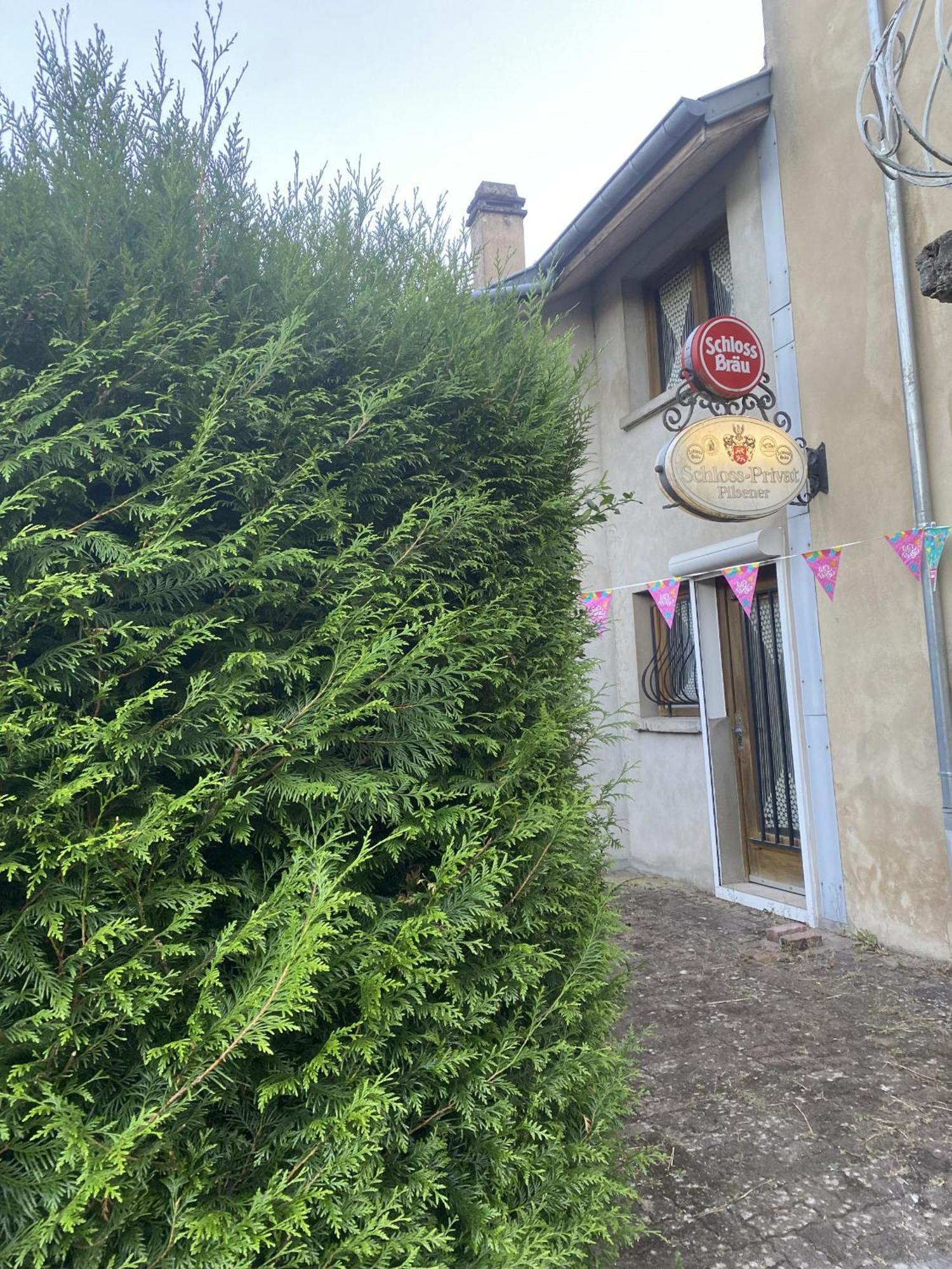 La Mariefacture - Comme A La Guinguette ! Villa Hombourg-Haut Exteriör bild
